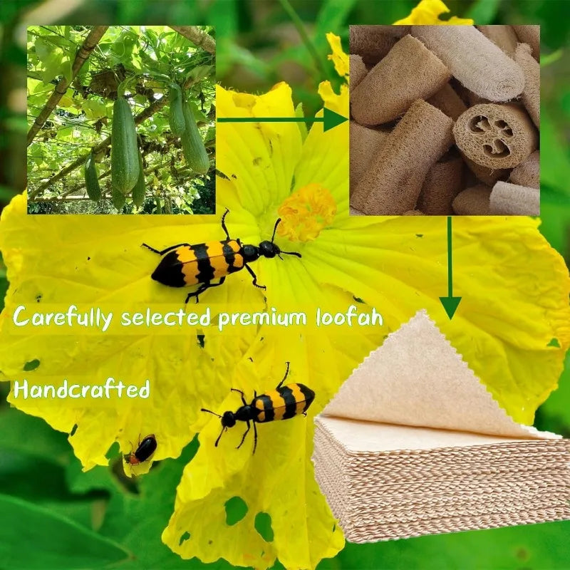 Natural Loofah Cellulose Cleaning Cloths - 5 Pack Reusable Dish Towels