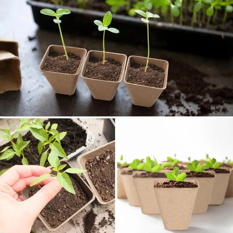 Biodegradable Paper Pulp Seedling Cups | Round & Square | 4 Styles | Packs of 10–50
