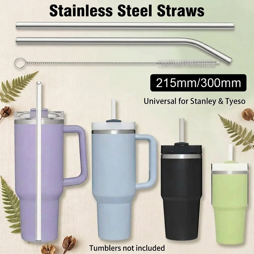 Reusable Stainless Steel Straw – Single Straw or Cleaning Brush