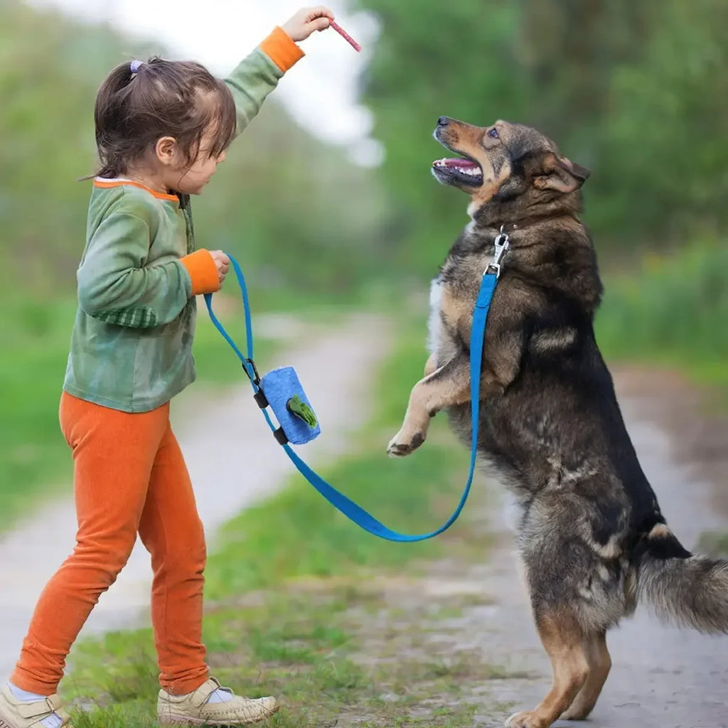 Dog Waste Bag Dispenser with Two Pockets
