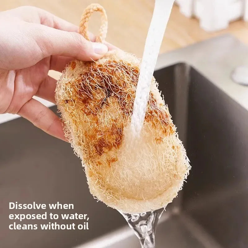 Natural Loofah Dishwashing Brush, 1–10 Piece Packs