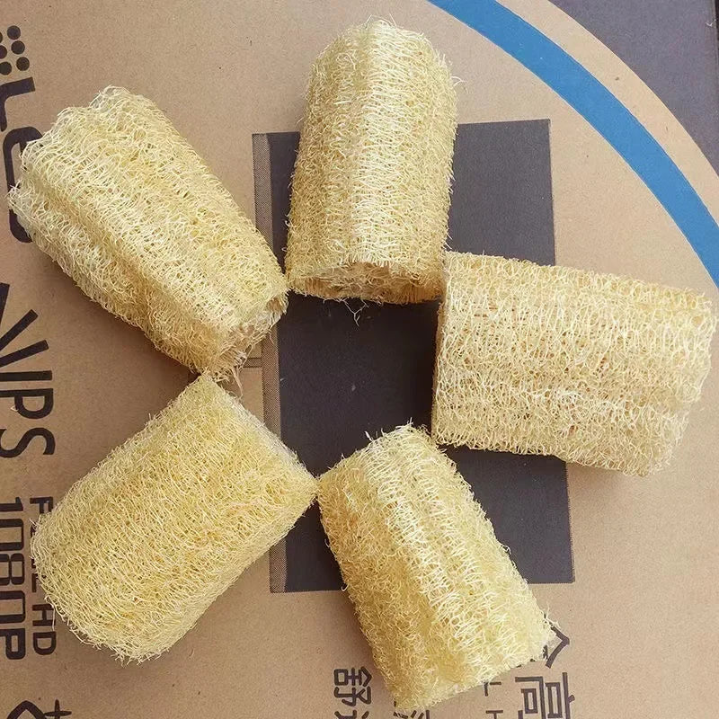 Natural Loofah Bath Sponge with Rope Options
