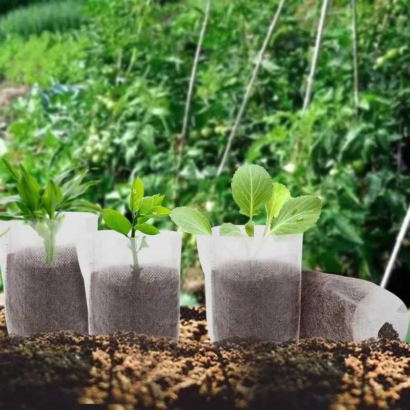 Biodegradable Non-Woven Nursery Seedling Bags | 3 Sizes | 100–500 Pcs | Grow Pots