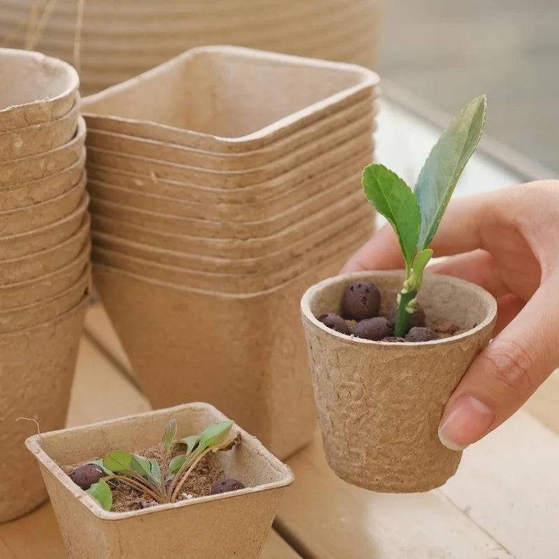 Biodegradable Paper Pulp Seedling Cups | Round & Square | 4 Styles | Packs of 10–50