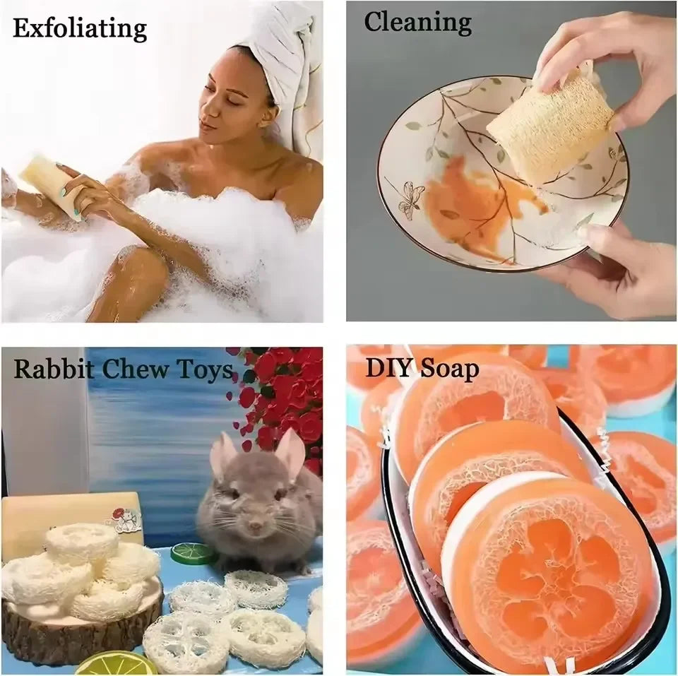 Natural Loofah Bath Sponge with Rope Options