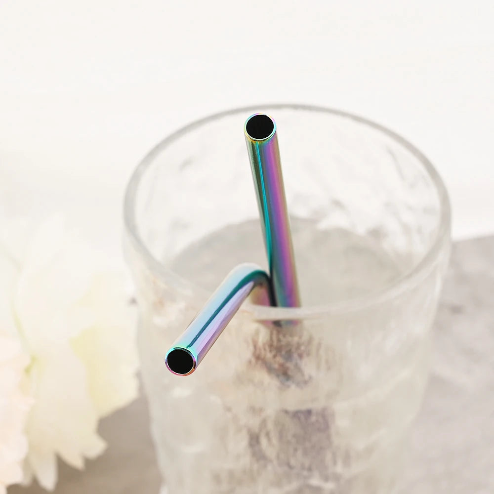 Snplowum Reusable Stainless Steel Straws – Straight & Bent | Rainbow & Silver | CE/EU LFGB SGS Certified