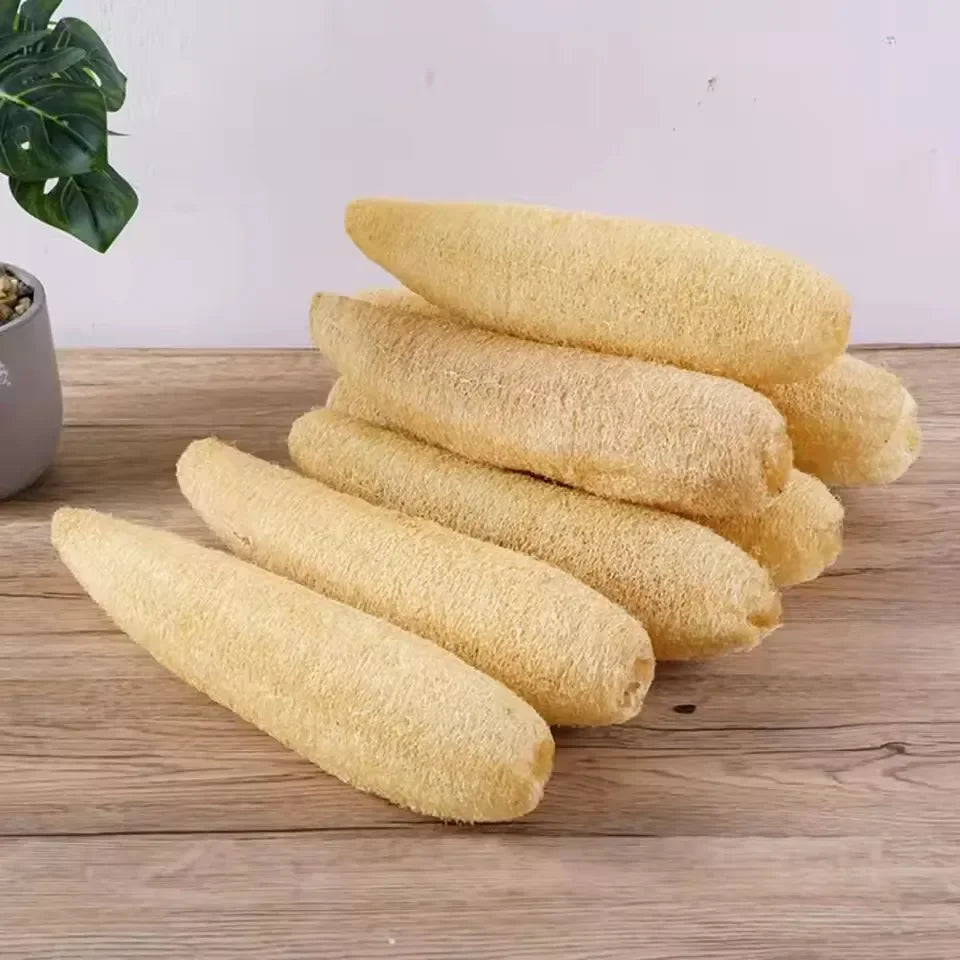 Natural Loofah Bath Sponge with Rope Options