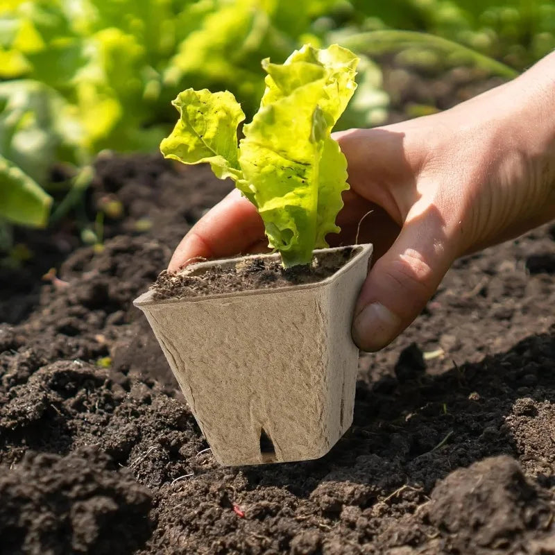 Biodegradable Paper Pulp Seedling Cups | Round & Square | 4 Styles | Packs of 10–50