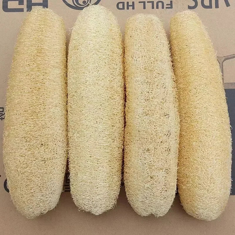 Natural Loofah Bath Sponge with Rope Options