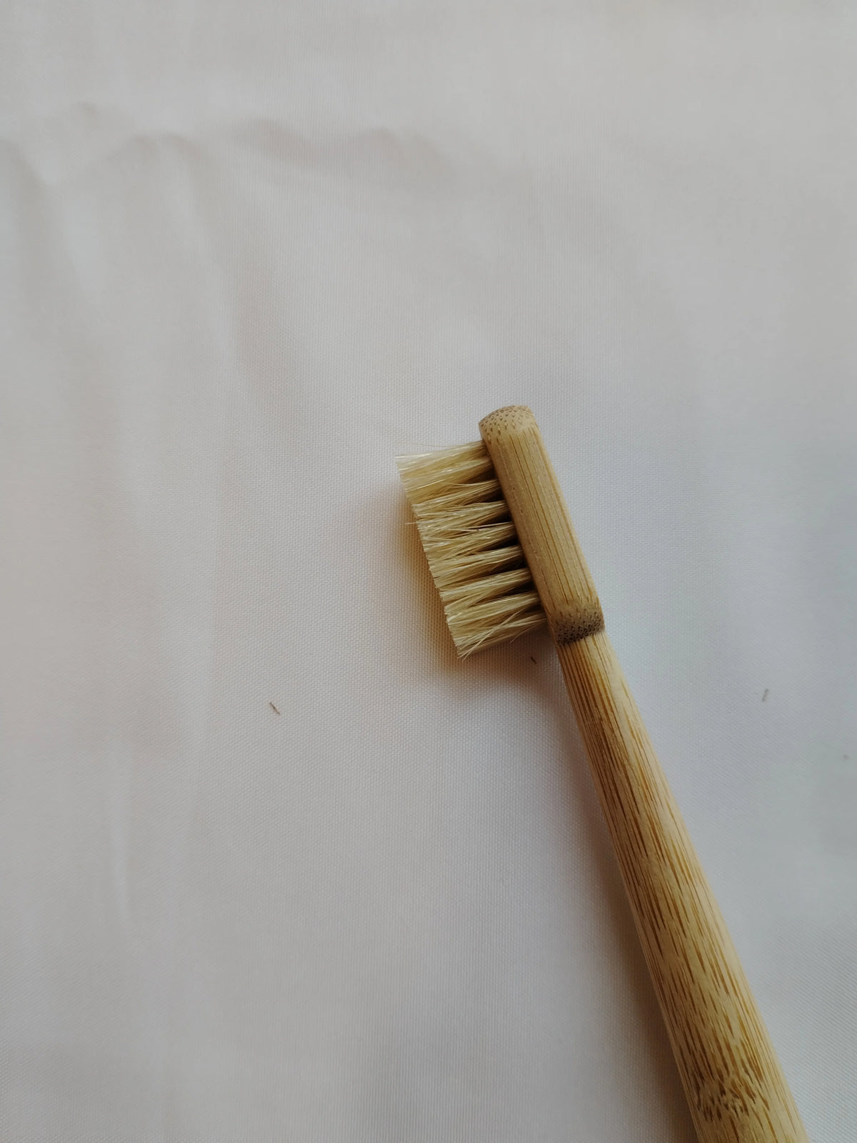 6-Pack Boar Bristle Bamboo Toothbrush